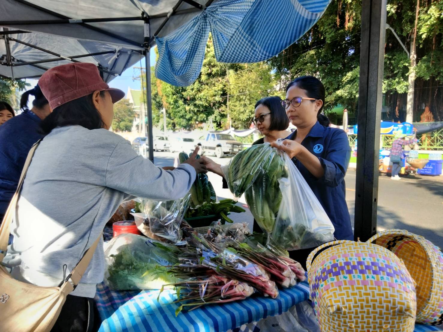 title - วันที่ 23 ธันวาคม 2568 เวลา 08.30 น. นายประเสริฐ กาญจนเกียรติกุล ปฏิรูปที่ดินจังหวัดบุรีรัมย์ มอบหมายเจ้าหน้าที่ ส.ป.ก.บุรีรัมย์จัดโครงการส่งความสุขปีใหม่มอบให้เกษตรกรในเขตปฏิรูปที่ดินจังหวัดบุรีรัมย์ ประจำปี พ.ศ. 2569